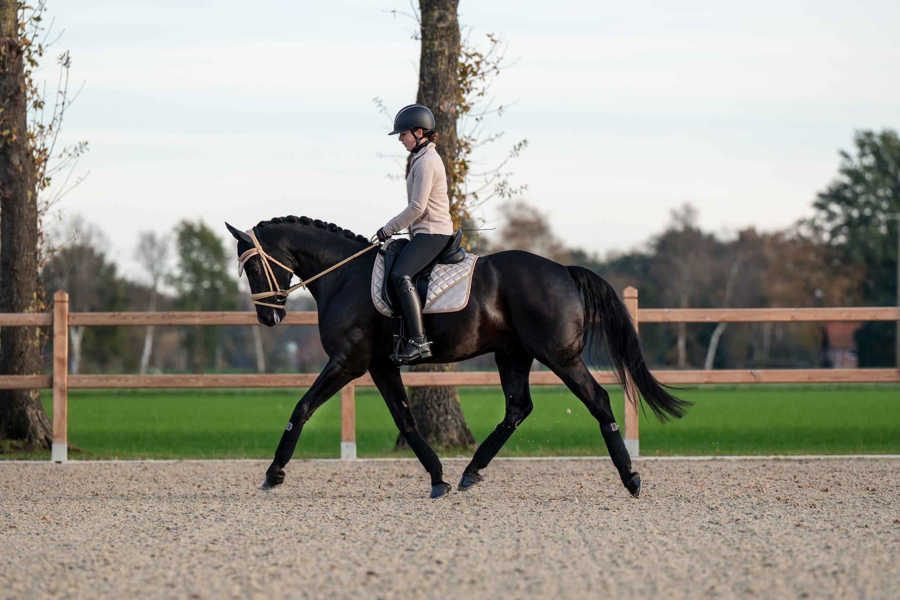 A detailed visual representation demonstrating the durability of equestrian apparel. This can be portrayed by including a scene of a South Asian woman dressed in a riding helmet, jodhpurs, and riding 