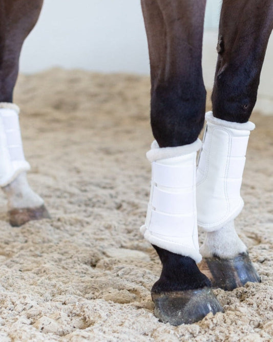 Dressage support boots - dressage outfitters HKM USA Made